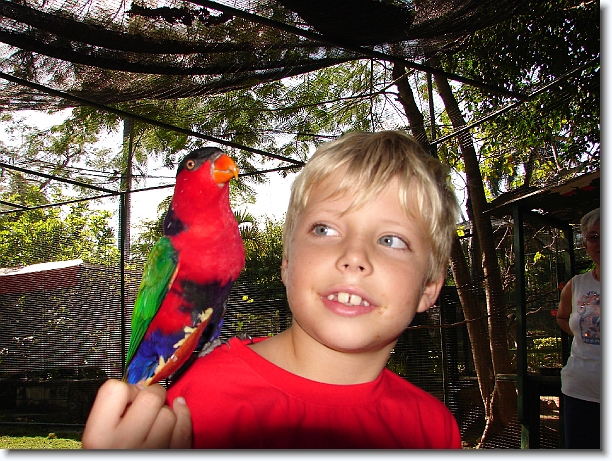 Click for the original image